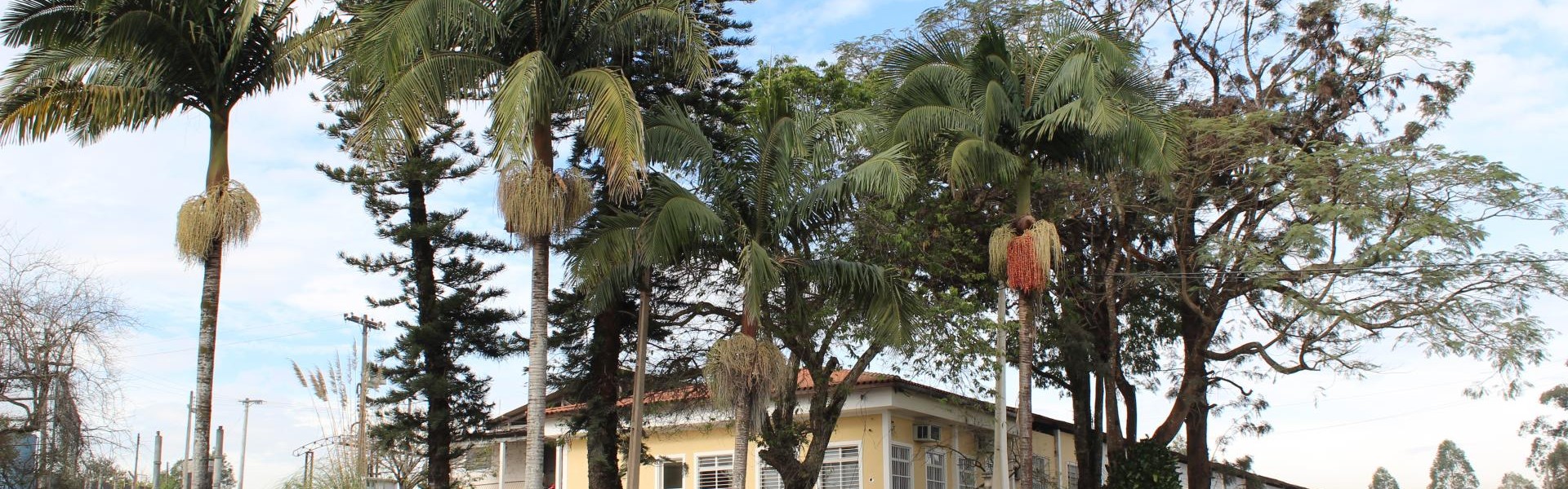 Excelência no atendimento 